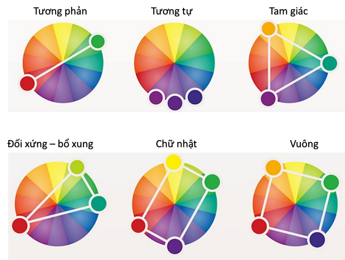 Bảng phối màu cho áo thể thao